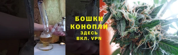 индика Богданович